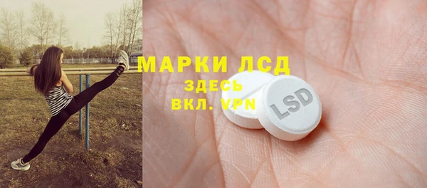 стаф Майский