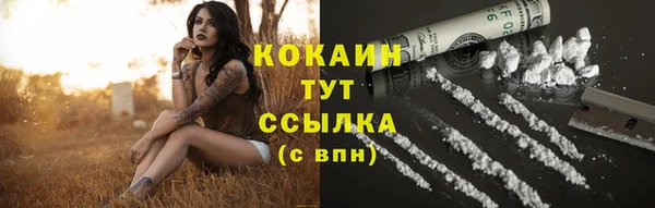 крисы Липки