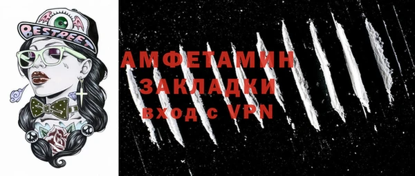 индика Балахна