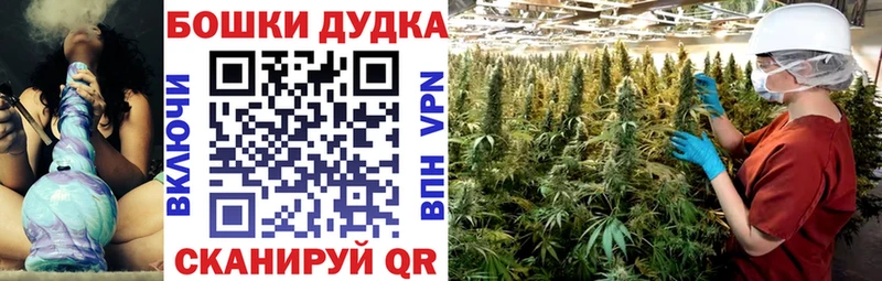 Марихуана Amnesia  Суоярви 